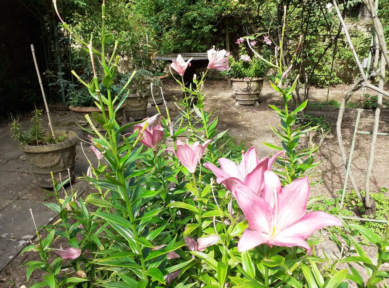 jardin la bonne maison mulatière lyon