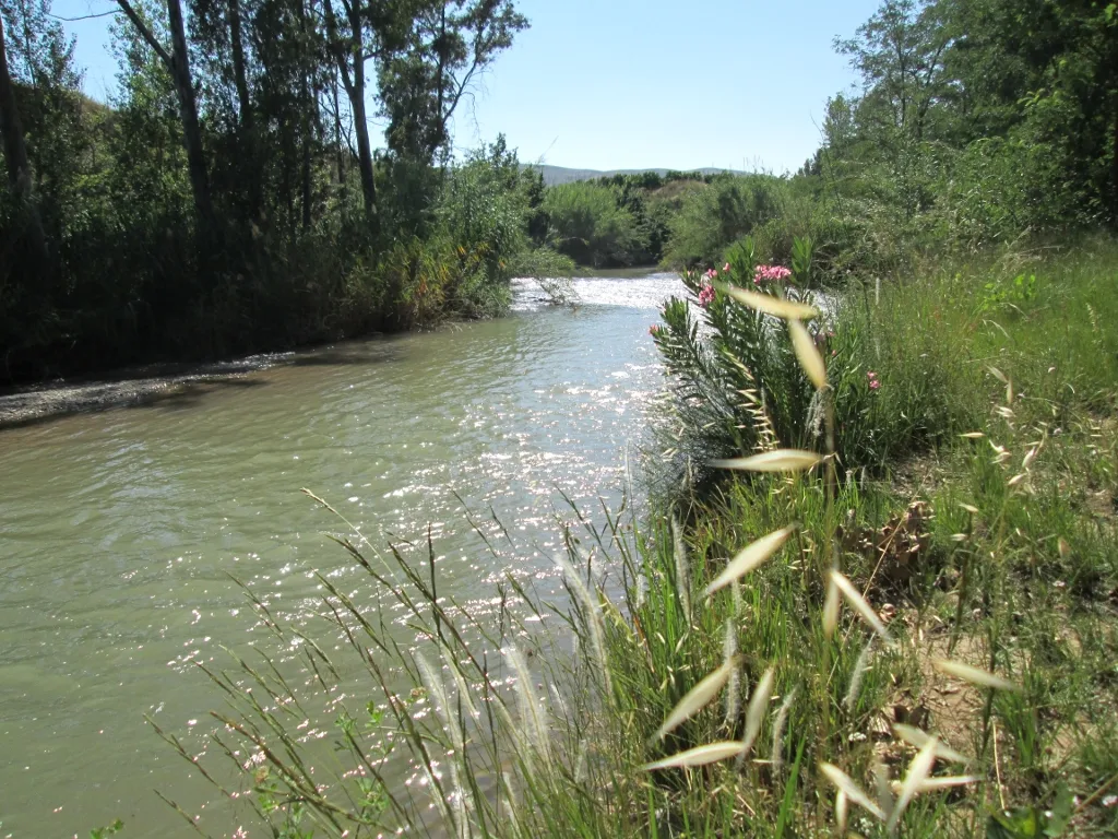 El río Turia a su paso por Pedralba - Paseos Fotográficos