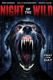 Night of the Wild (2015)