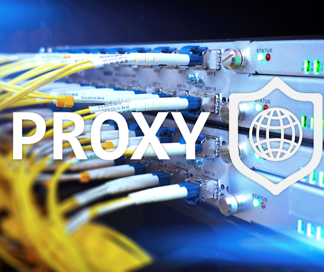 What is a Proxy and Reverse Proxy?