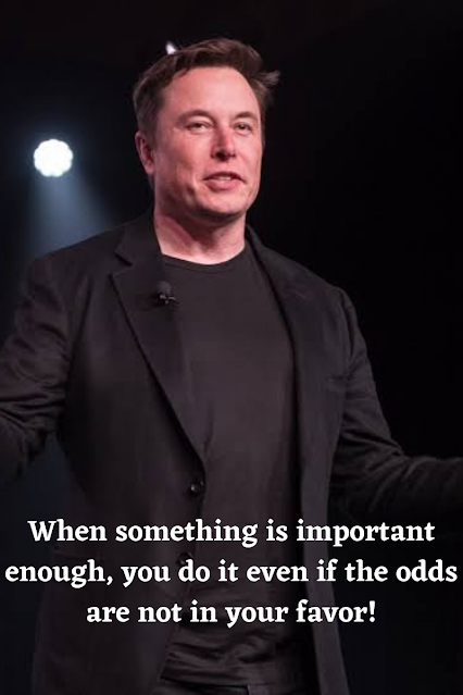 When something is important enough, you do it even if the odds are not your favour Elon Musk