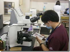 P9130641