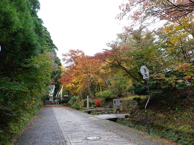 大山寺参道の御幸参道本通り