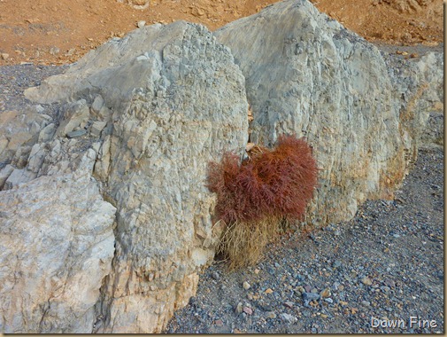 mosaic canyon_071