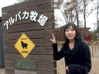 Nocchi_5
