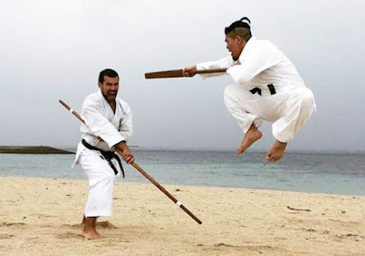 Shorei Martial Arts.