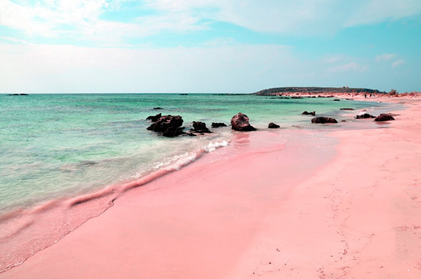 Pink Beach, Keindahan di Tempat Misterius