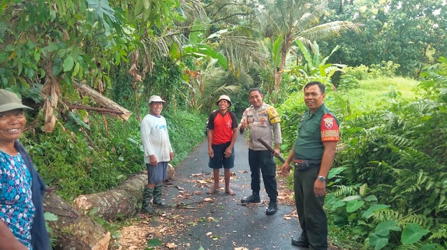 Babinsa Petak Bantu Warga Atasi Pohon Tumbang Yang Halangi Jalan Di Desa Adat Benawah