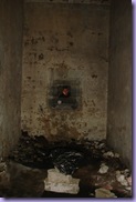 mini_DSC07883