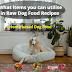 Raw dog food recipes | What items you can utilize in raw dog food recipes | How to prepare dog food at home | Home based dog food