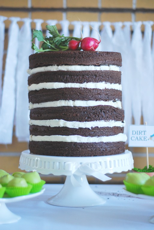 Peter Rabbit First Birthday Party