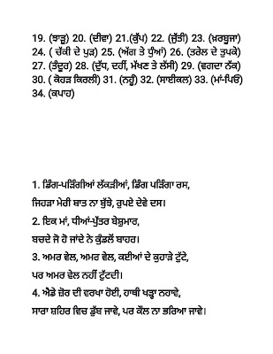 Punjabi Bujartan with Answer Pics