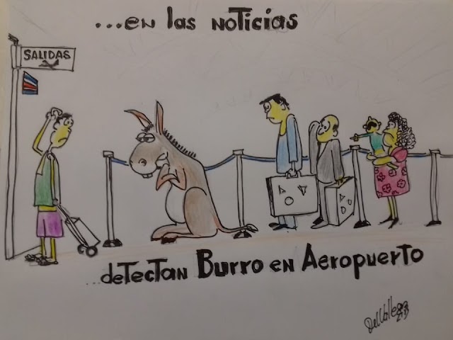 La caricatura de hoy:...en las noticias detectan burro en el aeropuerto