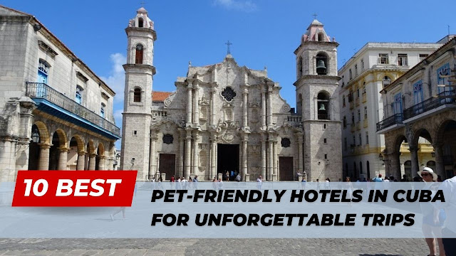 Best Pet-friendly Hotels in Cuba
