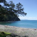 View album