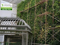 Jasa Taman Vertical Garden Cirebon