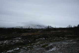 Vålådalens naturreservat