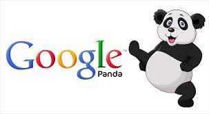 google panda update