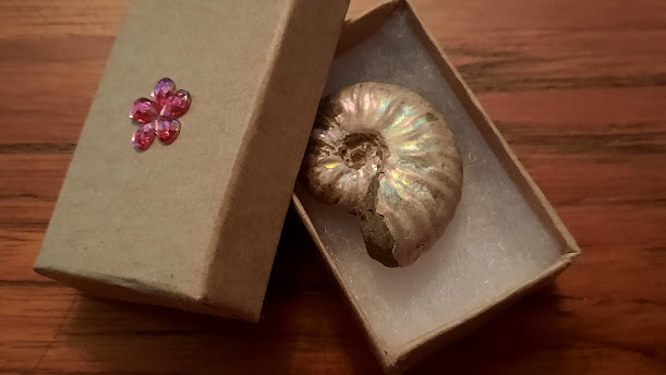 gift box containing opalized shell