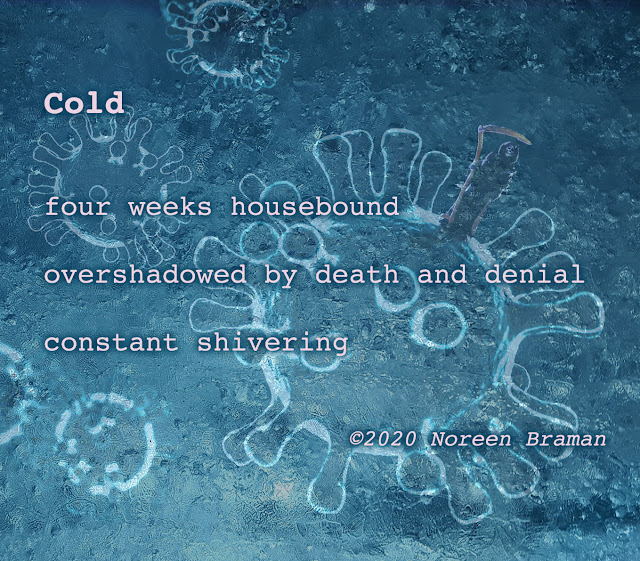 Cold /   four weeks housebound / overshadowed by death and denial / constant shivering   ©2020 Noreen Braman 