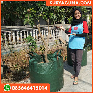 planter bag 100 liter murah dari suryaguna 085646415014