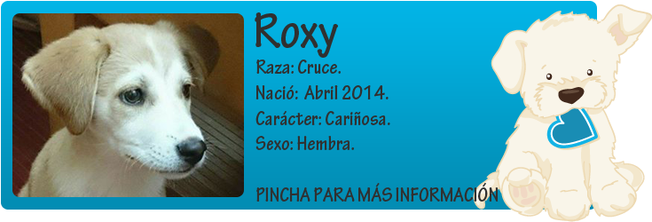 http://mirada-animal-toledo.blogspot.com.es/2014/07/roxy-cachorrita-en-adopcion.html