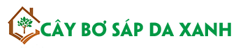 Cây Bơ Sáp Da Xanh