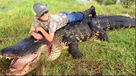 Godzilla! See the Giant Size Alligator Killed in the U.S. that Shocked the World (Photos)