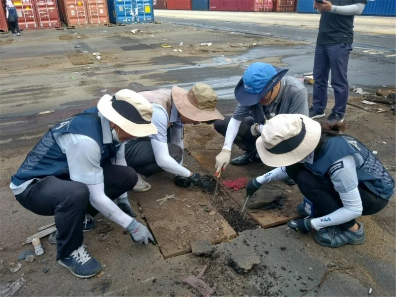 인천항 붉은불개미 합동 조사 결과