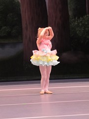 IMG_2090