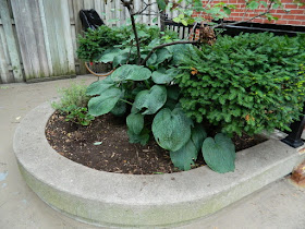 Garden District Toronto Downtown Courtyard Cleanup After by Paul Jung Gardening Services--a Toronto Gardening Company