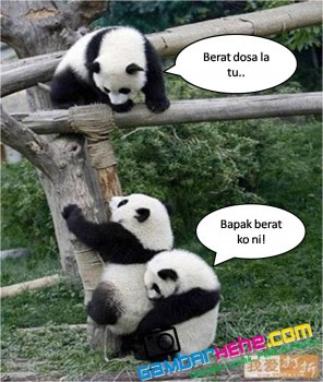 8 GAMBAR  LAWAK PANDA  COMEL  SUKA SKODENG CERITA POPULAR