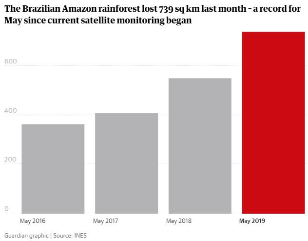 The Brazilian Amazon Rainforest Is Suffering Record High Deforestation