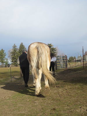 A tail shot of Ben walking away.