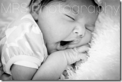 Solano County Newborn Photography-8