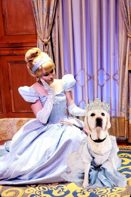 Where to find Cinderella at Disney World Magic Kingdom