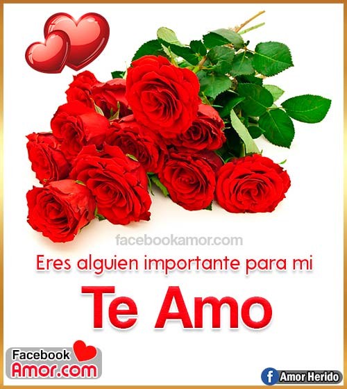 ramo de rosas para amor