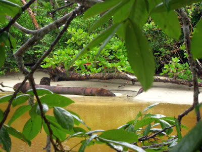 Parque Nacional de Cahuita