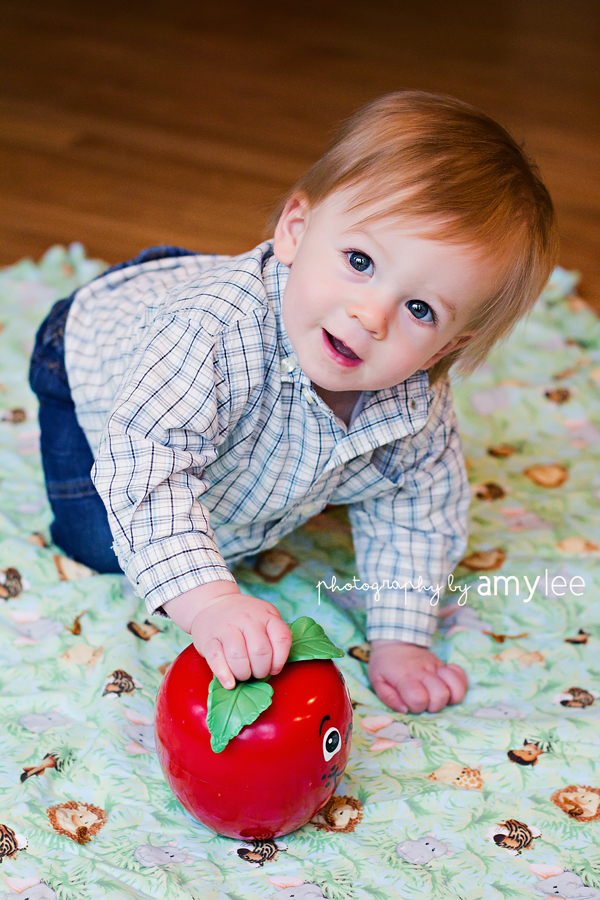 Photography by Amy Lee the Metcalfe Family Olympia Family Photographer