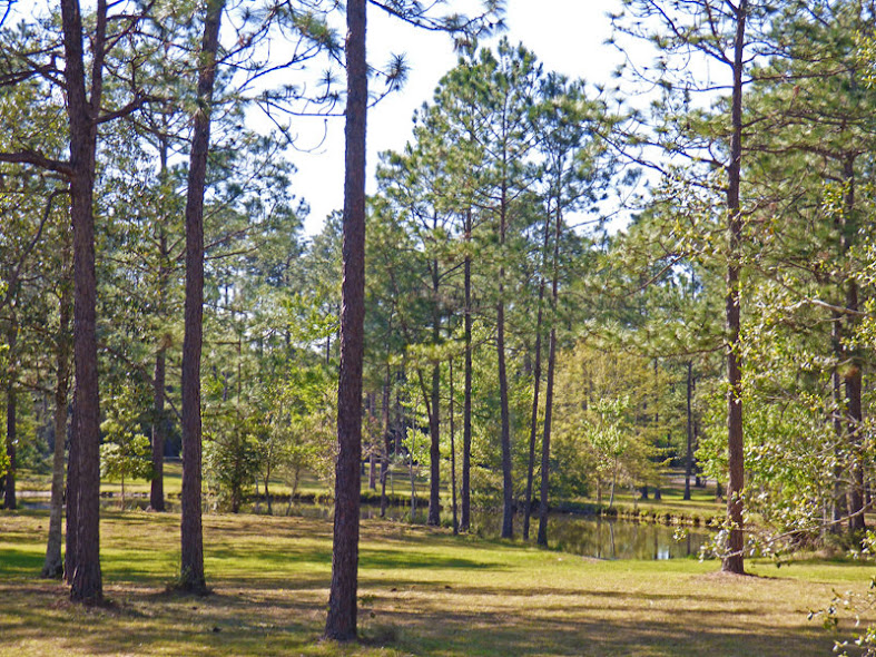Wilderness RV Park, Robertsdale, AL