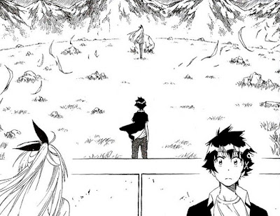 Nisekoi 25