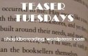 Teaser Tuesdays-April 7