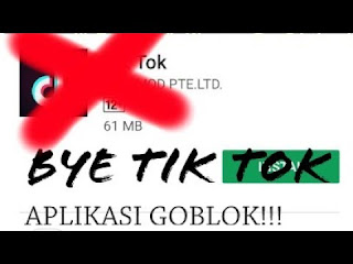 tik tok sudah terblokir