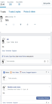 Update Facebook Fan Page Sekarang Bisa Dari Twitter