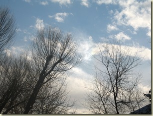 IMG_0598