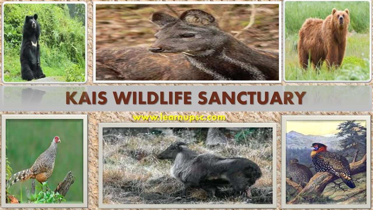 Kais Wildlife Sanctuary