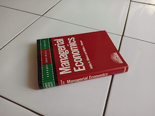 Managerial Economics by Holley H. Ulbrich