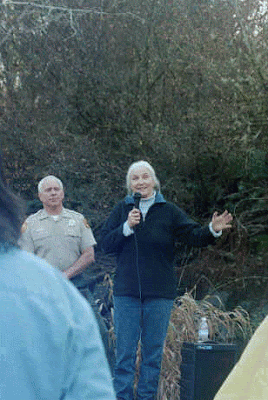 Photographs of a Tour by the Save the Redwoods League at Mill Creek near Crescent City, CA