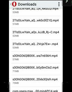 downloaded files through roogen