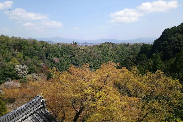 Senkoji, arashiyama, sakura 2019